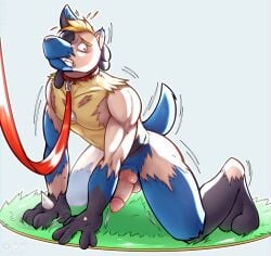 absurd_res aktiloth all_fours anthro balls blonde_eyebrows blonde_hair blue_body blue_fur canid canine collar collar_only erection eyebrows fur fur_growth generation_4_pokemon genitals grass growth hair hi_res human_to_anthro humanoid_genitalia humanoid_penis hybrid_genitalia hybrid_penis knot knotted_humanoid_penis knotted_penis leash leashed_collar leashed_male losing_hair lucario mammal mid_transformation nintendo nude nude_anthro nude_male partially_human penis plant pokemon pokemon_(species) red_eyes solo_male species_transformation tail tail_growth transformation transformation_by_item transformation_by_magical_item transformation_by_object yellow_body yellow_fur