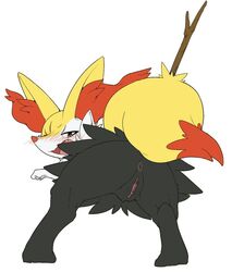 1girls anus ass bent_over black_fur blush braixen canine clitoris fangs feet female female_only fox furry half-closed_eyes kimubota looking_back nintendo nude open_mouth orange_eyes paws pokémon_(species) pokemon pokemon_(species) pokemon_xy presenting pussy red_fur solo standing stick tail teeth tongue video_games white_background white_fur yellow_fur