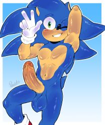 sonic the hedgehog from sega by polarisart