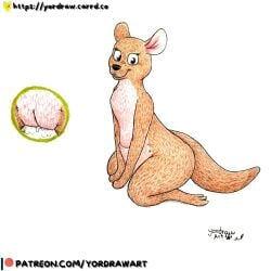 kanga from disney by yordraw