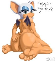 1girls anus back_view butt english_text feet feet_focus female_only foot_fetish furry green_eyes nude pussy rouge_the_bat soles sonic_the_hedgehog_(series) thicc toes uthethinkturboblast28 vaginal white_hair wings