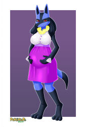 lucario from pokemon by pokeninpu