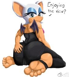 back_view butt english_text feet feet_focus foot_fetish furry green_eyes rouge_the_bat sonic_the_hedgehog_(series) thicc uthethinkturboblast28 vaginal white_hair wings
