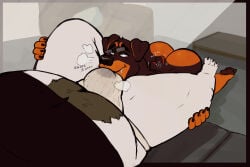anthro barazoku bear blush bodily_fluids body_hair bulge bulge_sniffing butt canid canine canis clothing domestic_dog drooling duo eyewear feet glasses happy_trail hi_res jockstrap lying male male/male mammal navel nub_tail on_back overweight overweight_male polar_bear saliva shirt smile sniffing tail tail_motion tailwag tcw tcw_(character) thick_thighs topwear underwear ursine