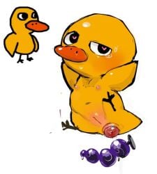 after_anal after_anal_penetration anal anal_beads anal_beads_in_ass anal_penetration anal_prolapse anatid andromorph anonymous_artist anseriform avian bird blush bodily_fluids body_blush crossgender duck duck_(the_duck_song) feral flat_chested genitals heart_eyes heart_symbol intersex object_in_ass penetration prolapse sex_toy sex_toy_in_ass sex_toy_insertion solo sweat sweatdrop the_duck_song vulva vulva_blush what why