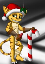 christmas fan art
