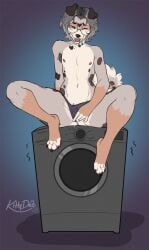 andromorph anthro appliance australian_cattle_dog brown_body brown_fur canid canine canis cattledog closed_eyes clothing clothing_aside collar curled_tail domestic_dog eyewear facial_piercing finger_fuck fingering fur glasses grey_background grey_body grey_fur grey_hair hair herding_dog hi_res intersex kittydee laundry_machine lip_piercing looking_pleasured mammal masturbation one_eye_closed open_mouth open_smile panties panties_aside pastoral_dog piercing pussy shia_(thegreatfloki) simple_background smile snakebite_piercing solo stud_piercing tail tan_body tan_fur trans_(lore) trans_man_(lore) underwear underwear_aside vaginal_penetration washing_machine