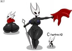 hornet (hollow knight) from hollow knight by mey810