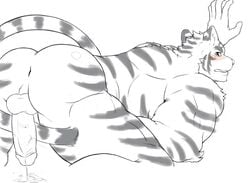 anthro ass balls bent_over blush erection feline looking_at_viewer male male_only mammal monochrome mooning muscular nude penis precum presenting presenting_hindquarters simple_background solo tiger white_background xsrwe12