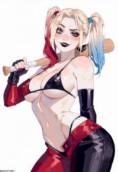 harley quinn from batman (series)
