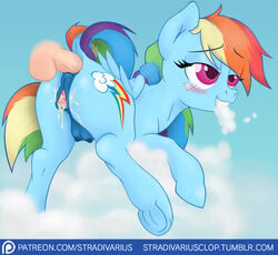 rainbow dash (mlp) from friendship is magic by stradivarius