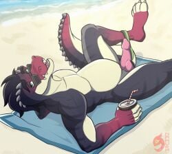 anthro beach beverage casual_nudity clothing crocodile crocodilian eyewear genitals hi_res looking_at_viewer lying male nahura outside penis public public_nudity reptile scalie slightly_chubby solo sunglasses swimming_trunks swimwear