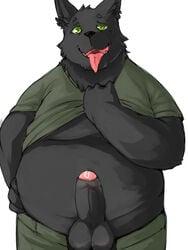 1boy anthro balls black_fur canine chubby clothing donguri erection fur green_eyes humanoid_penis looking_at_viewer male male_only mammal open_mouth pants pants_down penis precum shirt shirt_lift simple_background solo standing uncut