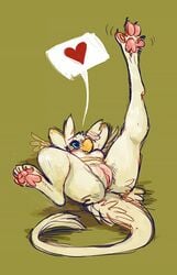 avian bird breasts female gryphon heart hoot hoot_(character) legs_up lying nude on_back pawpads paws pussy solo spread_legs spreading wings