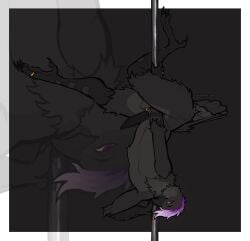 animal_genitalia anthro avian balls beak bird black_beak black_body black_feathers black_penis black_scutes corvid corvus_(genus) countershade_torso countershading crow dancing digit_ring erection feathers feet furgonomics furry-specific_piercing genital_piercing genitals gold_piercing gradient_hair grey_body grey_feathers hair hi_res jewelry looking_at_viewer male nude oscine passerine penis pete_(pickles) piercing pole pole_dancing purple_eyes purple_hair ring scuted_arms scuted_legs scutes sheath sheath_piercing sidioskiere solo tapering_penis toe_ring toes upside-down white_hair