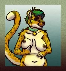 anthro breast_grab breasts cheetah collar cool. felid feline female fur hand_on_breast mammal picture_frame slightly_chubby solo spots spotted_fur