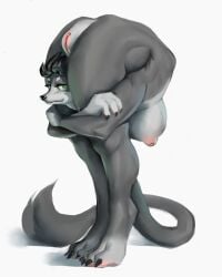 anthro backbend breasts female flexible gyy solo