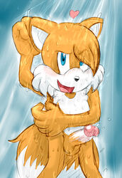 1boy 2015 anthro balls canine erection extraspecialzone fox fur furry_tail male male_only mammal multiple_tails penis shower solo sonic_(series) tail tails water wet