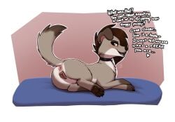 anatomically_correct anatomically_correct_genitalia anatomically_correct_pussy animal_genitalia animal_pussy anus bodily_fluids brown_body brown_fur brown_hair canid canine canine_genitalia canine_pussy canis collar dialogue domestic_dog english_text facial_piercing feet female feral floppy_ears fur genital_fluids genitals hair lip_piercing looking_at_viewer looking_back looking_back_at_viewer mammal multi_nipple nipples pawpads piercing presenting presenting_pussy pussy solo stargazer starr_(stargazer) talking_feral teasing text vaginal_fluids