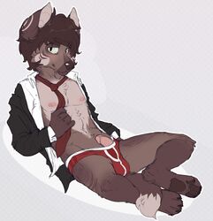 1boy anthro briefs bulge canine circumcised clothing erection fox looking_at_viewer male male_only mammal necktie nipples pawpads paws red_underwear simple_background sitting solo tobicakes underwear undressing