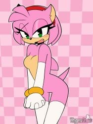 amy rose from sega by whygena