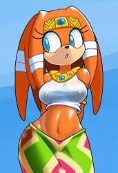 tikal the echidna from sonic (series)