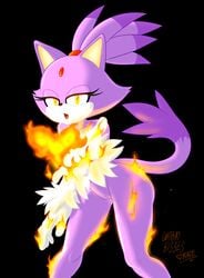 2015 absurd_res anthro blaze_the_cat feline feline female hi_res mammal nude pussy ravnic solo sonic_(series)