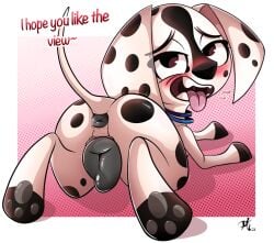 101_dalmatian_street 101_dalmatians 1dog 1female 1girl 2024 anus artist_signature ass ass_focus asshole black_spots blue_collar blush blush_lines blushing_at_viewer blushing_female canid canine canine_anus canine_genitalia canine_pussy canine_vagina canis cub dalmatian dee_dee_(101_dalmatians) digital_drawing_(artwork) digital_media_(artwork) disney dog dog_collar domestic_canine domestic_dog english_text female female_focus female_only half-closed_eyes hi_res high_resolution highres huge_ass huge_butt inkbunny labia large_labia large_pussy looking_at_viewer looking_back looking_pleasured moaning moaning_in_pleasure motion_lines open_smile paws pink_text pkbrnsh0ck_(artist) plump_labia puppy pussy pussy_focus raised_tail red_text smile smiling smiling_at_viewer solo solo_female solo_focus sploot tail tail_raised teeth teeth_showing tongue tongue_out white_body white_fur young younger_female