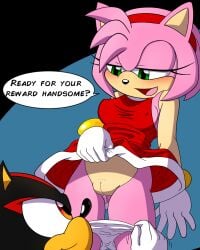 amy_rose blush panty_pull pussy pussy_juice_drip shadow_the_hedgehog text