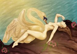 avian breasts deity european_mythology girl_on_bottom greek_mythology interspecies leda leda_and_the_swan missionary missionary_position mythology nipples nude_female outdoor_sex public_domain rapist rapist_real sex zeus zoophilia