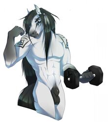 1boy 2015 abs anthro balls biceps blue_eyes equine exercise flexing fully_sheathed fur grey_hair hair half-closed_eyes horse looking_at_viewer male male_only mammal muscular nude pecs sheath simple_background smile solo standing tattoo three-quarter_portrait vexstacy weightlifting weights white_background white_fur workout