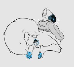 agender almost_fully_inside ambiguous_gender anal anal_vore anthro anus belly big_belly big_tail blue_eyes blue_insides blue_pawpads bottomless buddy_(gurglegluts) canid canine canis clothed clothing curvy_figure domestic_dog duo fluffy fluffy_tail gurglegluts hoodie hoodie_only jay_(gurglegluts) living_buttplug living_insertion living_toy machine male mammal mixed_breed neck_tuft pawpads protogen shepsky stomach_bulge tail topwear topwear_only tuft voluptuous vore