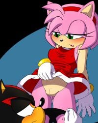 amy_rose blush furry imminent_sex panties_down pusspussy_juice_drip pussy romantic shadow_the_hedgehog sonic_(series) sonic_the_hedgehog_(series)