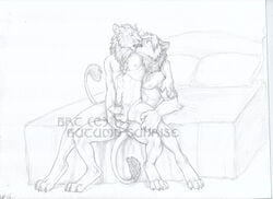 anal anthro autumn_sunrise balls erection feline lion male mammal penis yaoi