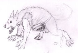 2015 all_fours anthro balls canine claws clothed clothing male mammal monochrome open_mouth penis sharp_teeth side_view simple_background sketch spectrumshift teeth toe_claws tongue tongue_out torn_clothing traditional_media_(artwork) transformation were werewolf white_background