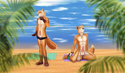 abs ankh anthro balls beach black_nose blue_eyes bracelet brown_fur canine clothing dan_scarlet dingo duo erection eyewear fox fur glasses green_eyes hair humanoid_penis jcfox jewelry long_hair luca_dingo male mammal muscular orange_fur penis sea seaside smile speedo swimsuit tattoo underwear water white_fur yaoi