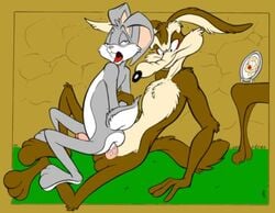 alex_spastic anal balls better_version_at_source bugs_bunny canine coyote duo lagomorph looney_tunes low_res male mammal penis rabbit smooth_fur warner_brothers wile_e._coyote yaoi