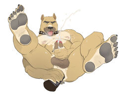 Booru post from rule34.xxx