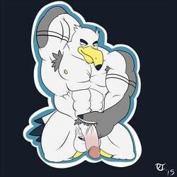 1boy anthro avian ayden_(brogulls) balls bird humanoid_penis male male_only muscular penis seagull solo terrykurosu