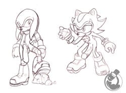 anthro balls echidna fur human knuckles_the_echidna male male_only mammal monotreme multiple_males neokat penis shadow_the_hedgehog sonic_(series) tagme