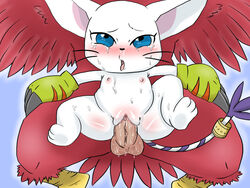 aquilamon avian bird blue_eyes censored claws clothing digimon falcon feathers feline female fur gatomon gloves long_tail male mammal nipples penetration penis pussy red_feathers sex solo_focus straight sweat tears vaginal_penetration whiskers white_fur young