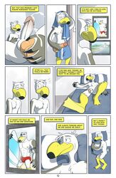 anal anal_insertion anal_masturbation anthro anti_dev avian ayden_(brogulls) bailey_(brogulls) balls bed bird comic cum dildo humanoid_penis male male_only masturbation page_12 penis seagull sex_toy towel yaoi