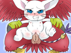 aquilamon avian bird blue_eyes censored claws clothing digimon falcon feathers feline female fur gatomon gloves long_tail male mammal nipples penetration penis pussy red_feathers sex solo_focus straight sweat tears vaginal_penetration whiskers white_fur young
