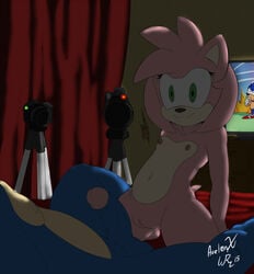 2015 amy_rose anthro aval0nx balls blue_arms erection female hedgehog imminent_sex male mammal nude penis pussy sonic_(series) sonic_the_hedgehog