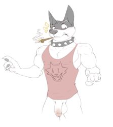 1boy 5_fingers anthro balls biceps black_fur black_nose blush bottomless canine chest_tuft clothed clothing collar digitigrade dog_treat doggo_(undertale) dragondrawer flaccid fur half-dressed humanoid_penis looking_at_viewer male male_only mammal multicolored_fur muscular pecs penis precum shirt smoke smoking solo spiked_collar tank_top teeth tuft two_tone_fur uncut undertale video_games white_fur