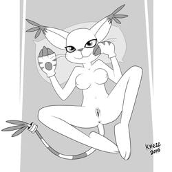 anus bedroom_eyes black_and_white breasts clothing digimon ear_tuft feline female fur gatomon gloves half-closed_eyes krezz_karavan long_tail looking_at_viewer mammal monochrome navel nipples pillow pussy seductive simple_background solo spread_legs spreading tuft whiskers white_fur