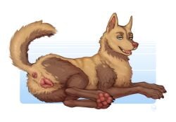 animal_genitalia animal_vulva anus aroused ass bedroom_eyes bodily_fluids canid canine canine_genitalia canine_vulva canis coffee_(despairdog) digital_media_(artwork) domestic_dog female feral fur genital_fluids genitals german_shepherd herding_dog heterochromia hi_res husky in_heat mammal mixed_breed multicolored_body narrowed_eyes nordic_sled_dog open_mouth pastoral_dog paws pink_nose pink_vulva presenting presenting_hindquarters pussy raised_tail seductive simple_background solo spitz syn-6 tail two_tone_body vaginal_fluids vulva yellow_body yellow_fur