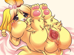 animal_crossing anthro bed black_nose blonde_hair breasts canine canine censored female fur hair hair_ornament isabelle_(animal_crossing) kuma25-ya mammal nintendo nipples nude pussy short_hair solo video_games white_fur yellow_fur