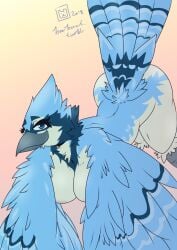 2018 anthro ass ass_up avian beak bearbox_doodletimes bent_over big_ass big_breasts bird black_body black_feathers blue_body blue_eyes blue_feathers blue_jay breasts corvid curvy_figure dated digital_media_(artwork) eyelashes feathered_wings feathers female furry gradient_background grey_beak hi_res jay_(bird) looking_at_viewer multicolored_body multicolored_feathers new_world_jay nipples non-mammal_breasts non-mammal_nipples nude original original_character oscine passerine pinup pose raised_tail scutes signature simple_background smile solo tail tail_feathers tan_background thick_thighs three-quarter_view white_body white_feathers wide_hips wings