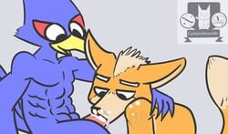 animated anthro avian bird canine carbondieoxside cum duo falco_lombardi fellatio fox fox_mccloud male mammal nintendo nude oral penis sex simple_background smile star_fox video_games yaoi